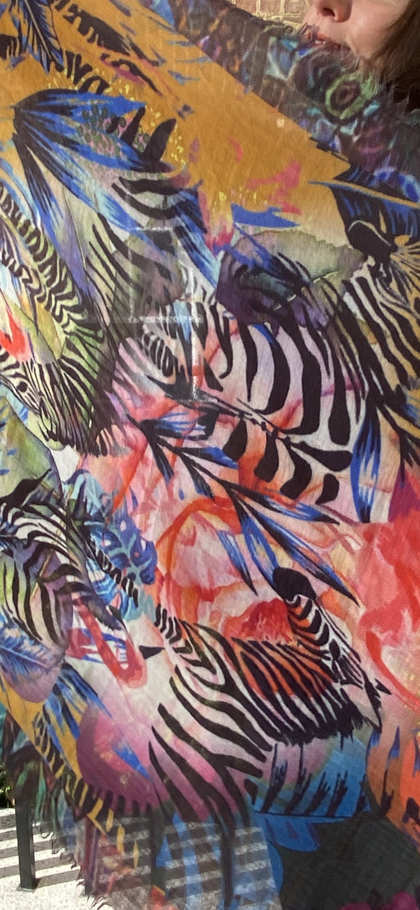 Zebras In The Jungle